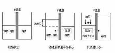 ro膜是什么？為什么說它是凈水器的靈魂？